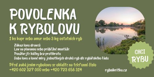 Povolenka "Chci rybu"