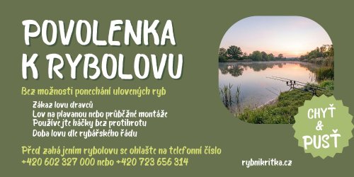 Povolenka "Chyť a pusť"